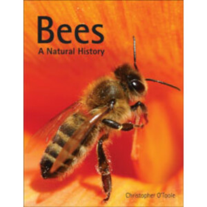 BEES A NATURAL HISTORY