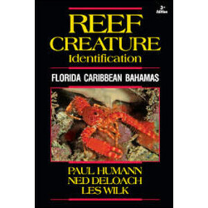 REEF CREATURE IDENTIFICATION: FLORIDA CARIBBEAN BAHAMAS