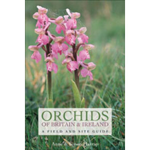 ORCHIDS OF BRITAIN AND IRELAND. A FIELD AND SITE GUIDE