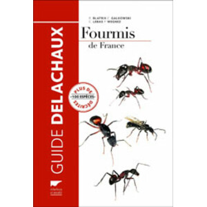 FOURMIS DE FRANCE. PLUS DE 100 ESPÈCES DÉCRITES