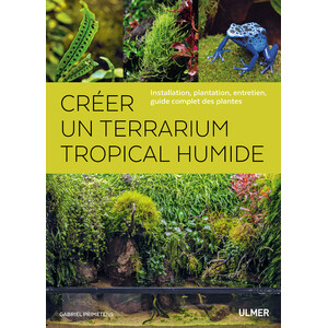 CRÉER UN TERRARIUM TROPICAL HUMIDE. INSTALLATION, PLANTATION, ENTRETIEN, GUIDE COMPLET DES PLANTES