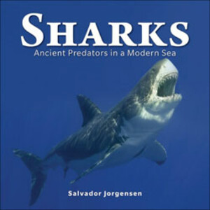 SHARKS. ANCIENT PREDATORS IN A MODERN SEA