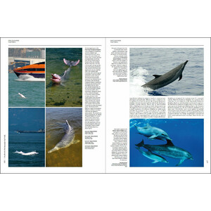 HANDBOOK OF THE MAMMALS OF THE WORLD. VOL. 4 SEA MAMMALS_1
