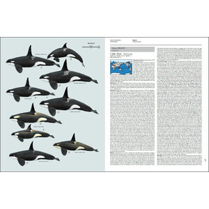 HANDBOOK OF THE MAMMALS OF THE WORLD. VOL. 4 SEA MAMMALS 4