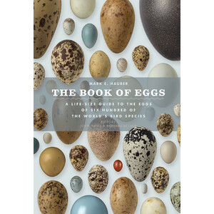 THE BOOK OF EGGS. A LIFE-SIZE GUIDE TO THE EGGS OF SIX HUNDRED OF THE WORLD'S BIRD SPECIES