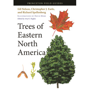 TREES OF EASTERN NORTH AMERICA