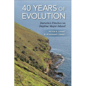 40 YEARS OF EVOLUTION