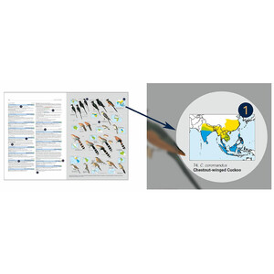 HBW AND BIRDLIFE INTERNATIONAL ILLUSTRATED CHECKLIST OF THE BIRDS OF THE WORLD. VOL 1 2