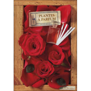 PLANTES À PARFUM