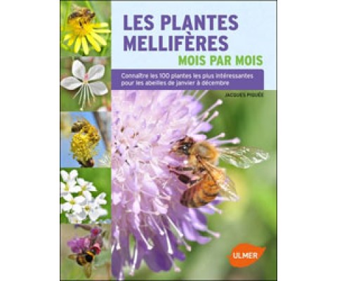 LES PLANTES MELLIFÈRES. MOIS PAR MOIS