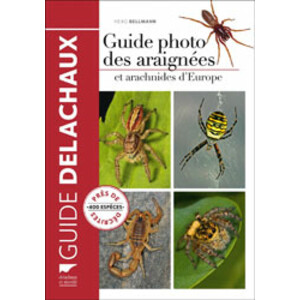 GUIDE DELACHAUX. GUIDE PHOTO DES ARAIGNÉES ET ARACHNIDES D'EUROPE