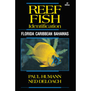 REEF FISH IDENTIFICATION. FLORIDA CARIBBEAN BAHAMAS. 4TH ED.