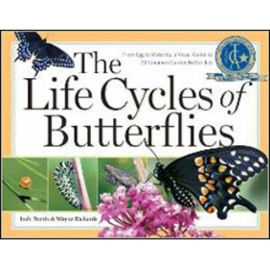 THE LIFE CYCLES OF BUTTERFLIES. FROM EGG TO MATURITY, A VISUAL GUIDE TO 23 COMMON GARDEN BUTTERFLIES