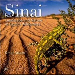 SINAI LANDSCAPE AND NATURE IN EGYPT'S WILDERNESS
