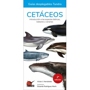 CETÁCEOS. INTRODUCCIÓN A LAS ESPECIES IBÉRICAS, BALEARES Y CANARIAS. GUÍAS DESPLEGABLES TUNDRA