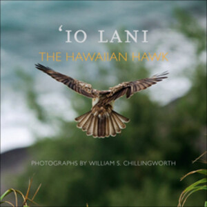 'IO LANI. THE HAWAIIAN HAWK