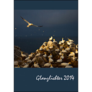 GLANZLICHTER 2014