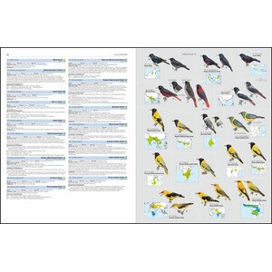 HBW AND BIRDLIFE INTERNATIONAL ILLUSTRATED CHECKLIST OF THE BIRDS OF THE WORLD. VOL. 2 2