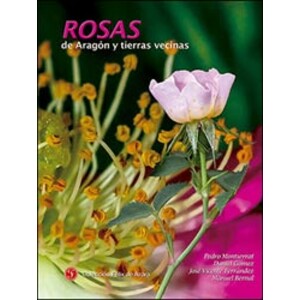 ROSAS DE ARAGÓN Y TIERRAS VECINAS