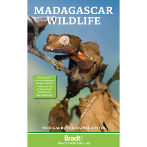MADAGASCAR WILDLIFE