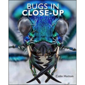 BUGS IN CLOSE-UP