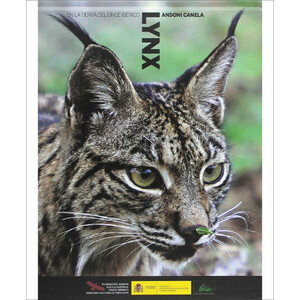 LYNX EN LA TIERRA DEL LINCE IBÉRICO