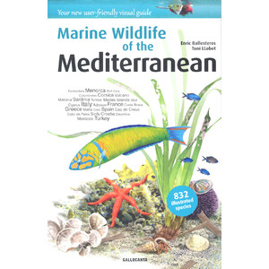 MARINE WILDLIFE OF THE MEDITERRANEAN