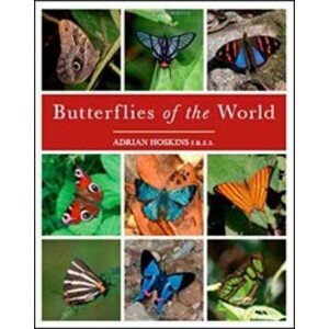 BUTTERFLIES OF THE WORLD