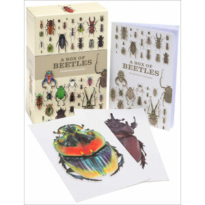 A BOX OF BEETLES 100 BEAUTIFUL POSTCARDS