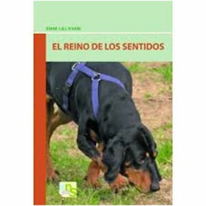 EL REINO DE LOS SENTIDOS