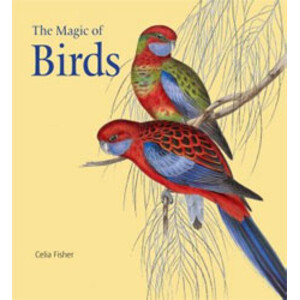 THE MAGIC OF BIRDS