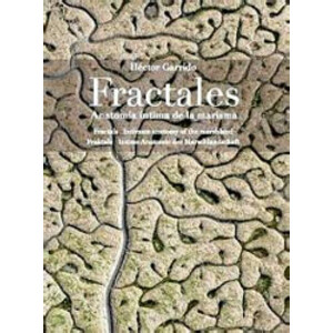 FRACTALES. ANATOMÍA ÍNTIMA DE UNA MARISMA