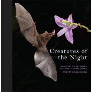 CREATURES OF THE NIGHT