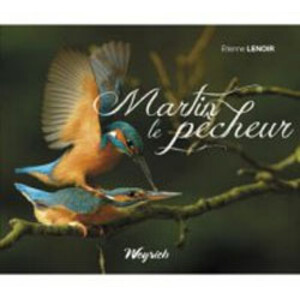 MARTIN LE PECHEUR