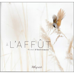 À L'AFFÛT