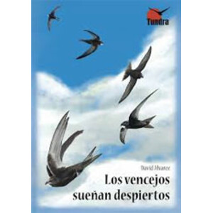 LOS VENCEJOS SUEÑAN DESPIERTOS