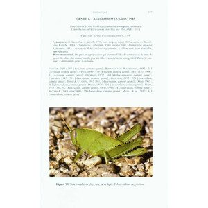 CRIQUETS DE FRANCE (ORTHOPTERA, CAELIFERA) VOL. 1 FASCICULE A ET B 5