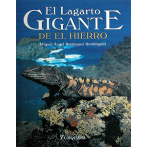 EL LAGARTO GIGANTE DE EL HIERRO (EDICIÓN DE BOLSILLO)