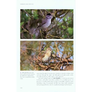 UNDERSTANDING BIRD BEHAVIOUR 5
