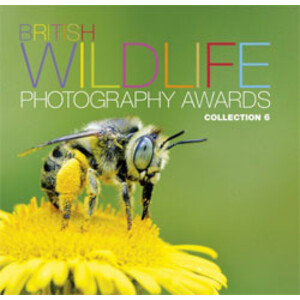 BRITISH WILDLIFE PHOTOGRAPHY AWARDS. COLLECTION 6