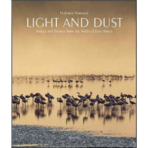 LIGHT AND DUST