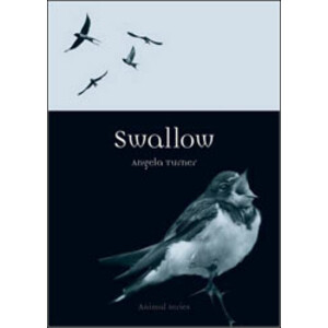 SWALLOW