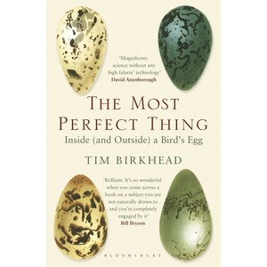 THE MOST PERFECT THING. INSIDE (AND OUTSIDE) A BIRD'S EGG