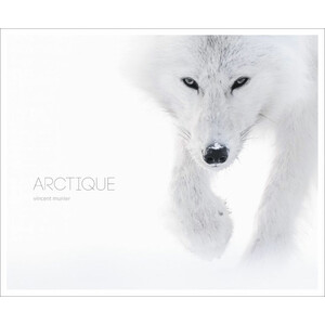 ARCTIQUE