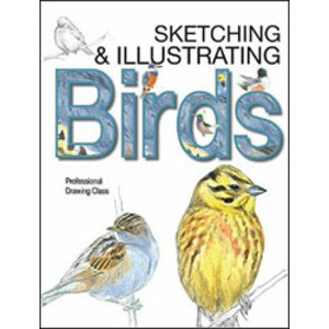 SKETCHING &AMP; ILLUSTRATING BIRDS. PROFESSIONAL DRAWING CLASS