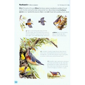 FIELD GUIDE TO THE BIRDS OF BRITAIN AND IRELAND 5