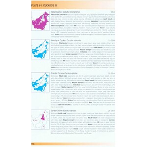 HELM FIELD GUIDES. BIRDS OF BORNEO 4