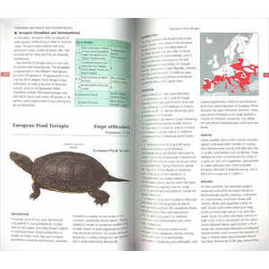 FIELD GUIDE TO THE AMPHIBIANS &AMP; REPTILES OF BRITAIN AND EUROPE 4