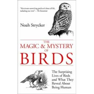 THE MAGIC &AMP; MYSTERY OF BIRDS: THE SURPRISING LIVES OF BIRDS AND WHAT THEY REVEAL ABOUT BEING HUMAN
