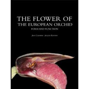 THE FLOWER OF THE EUROPEAN ORCHID. FORM AND FUNCTION